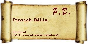 Pinzich Délia névjegykártya